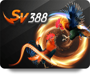 Người chơi nói gì về 78Win Live Dealer Hot? Khám phá ngay
